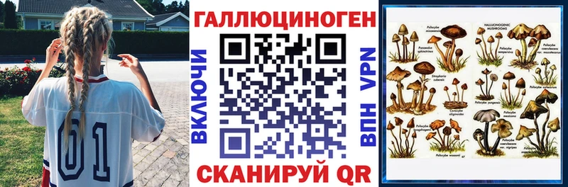Псилоцибиновые грибы Psilocybe  Купить  Пустошка 